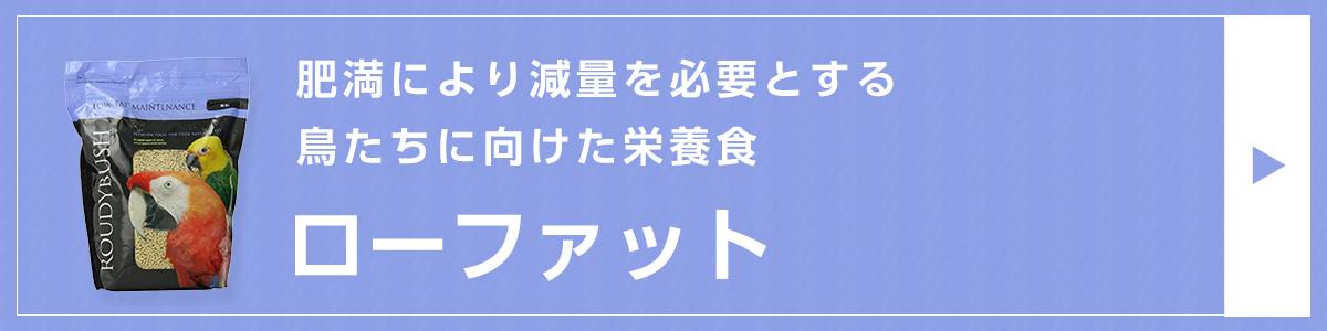 ラウディブッシュ ローファット