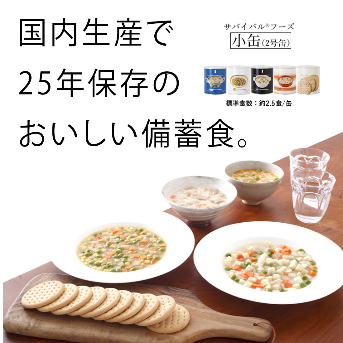 25年保存食 サバイバルフーズ バラエティセット 小缶 (計6缶 15食相当