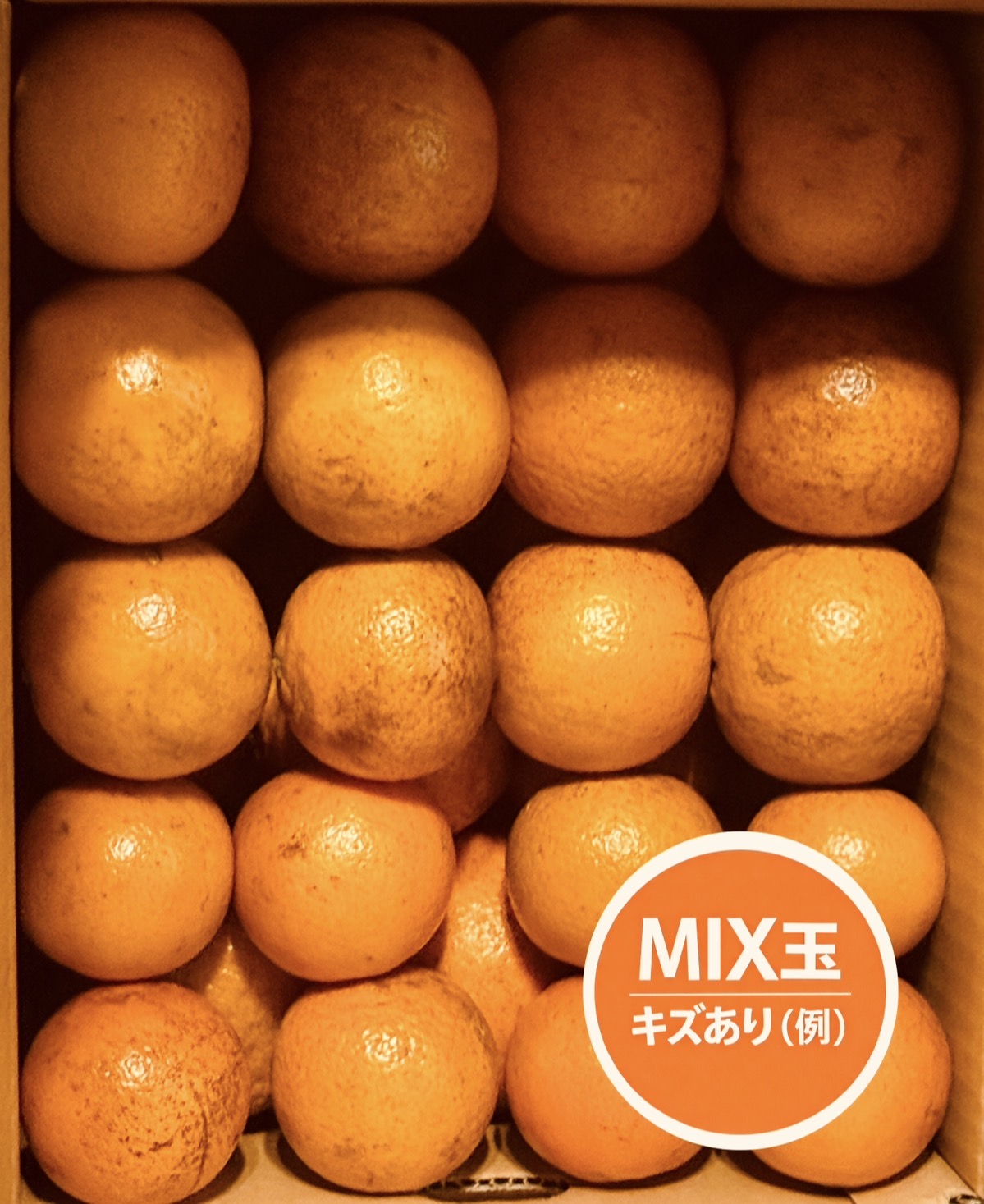 たんかん 奄美 5kg タンカン 贈答用 訳あり5キロ みかん 完熟たんかん