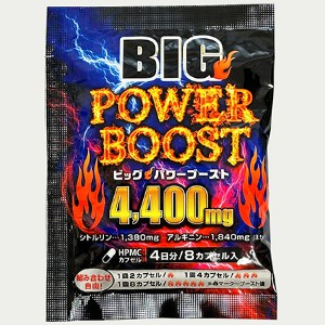 Amazon.co.jp: ライフサポート BIGパワーブースト4400mg