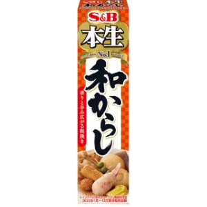 Yahoo! Yahoo!ショッピング(ヤフー ショッピング)S&B 本生 和からし （43g） 調味料