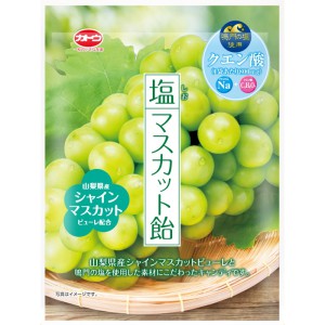 加藤製菓 塩マスカット飴 (58g) 菓子 : SCB - 通販 - Yahoo!ショッピング