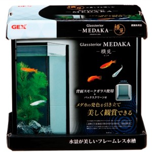 GEX WFbNX OXeA _J  wʃX[NKX 3Nۏ (1Zbg) P[X
