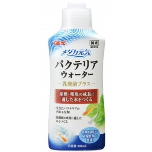 GEX WFbNX _JC oNeAEH[^[ (300mL) 