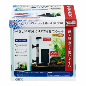 GEX WFbNX _JC _Ĵ߂̐Zbg 200 CUBE (1Zbg) P[X