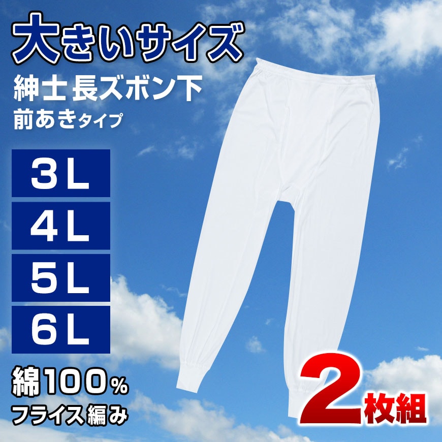 ズボン下 綿100% 大きいサイズ 2枚組 3L 4L 5L 6L メンズ 肌着 下着 インナー コットン ビッグサイズ アンダーパンツ 前開き 下着 男性 白 無地 3l 4l 5l 6l