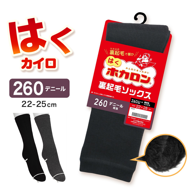 レディース クルーソックス 裏起毛 靴下 ソックス クルー丈 ホカロン あたたかい あったかい 防寒 260デニール相当 22-25cm 暖かい 保温 アツギ 黒 atsugi 冬 秋