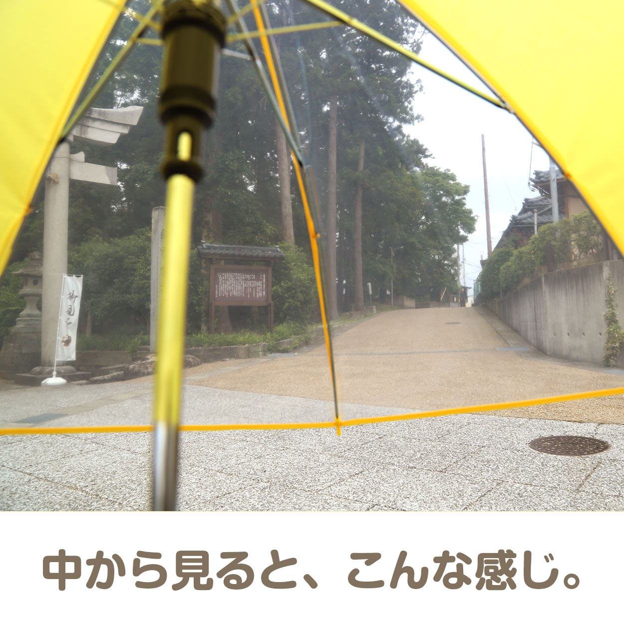 キッズ 傘 55cm 小学生 女の子 男の子 前が見える 透明 窓 イエロー 黄色 ネイビー シンプル スクール ジャンプ傘 簡単 小さい 小学校 低学年 高学年 学童 通学