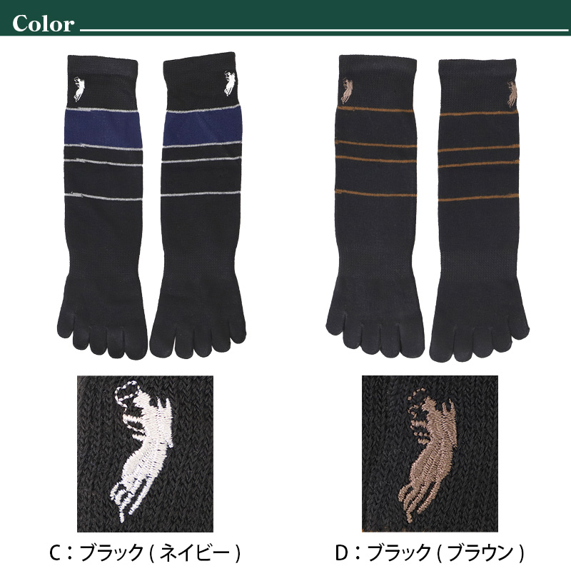 ビジネスソックス メンズ ソックス 5本指ソックス 紳士 POLO polo 25 26 27 cm 5本指 靴下 快適 フィット 無地 黒 ネイビー チャコール