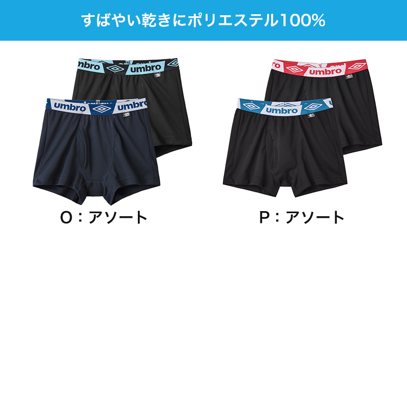 グンゼ umbro 子供 ボクサーブリーフ 2枚 セット 綿100 140 150 160 170 cm アンブロ パンツ 前あき ボクサーブリーフ 下着 インナー 綿 吸汗速乾 ギフト