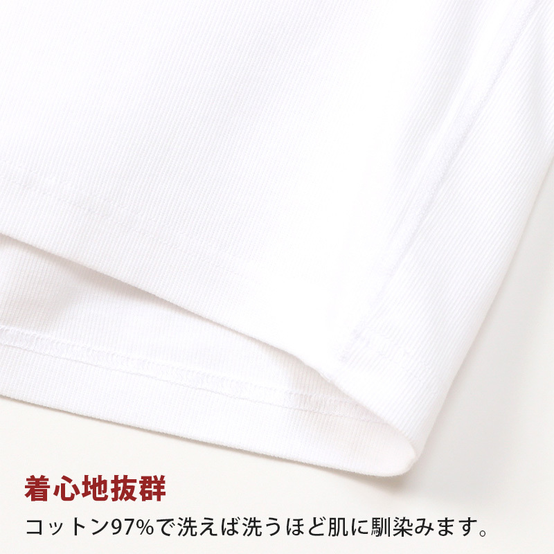 ヘインズ BEEFY-T ビーフィー リブVネックTシャツ S〜XL (Hanes tシャツ メンズ 無地 肌着 半袖 下着 綿 コットン インナー 男性 hanes S M L XL パックT
