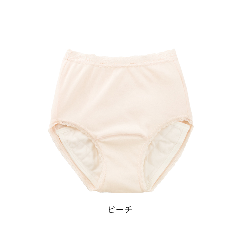 婦人 100cc対応 安心快適ショーツ M〜LL (大失禁 尿漏れ レディース パンティー 吸水)