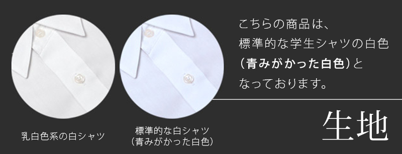 開襟シャツ 長袖 男子 スクールシャツ 学生服 110cmA〜180cmB (制服 シャツ 白 男の子 中学生 小学生 大きいサイズ) (送料無料) (取寄せ)