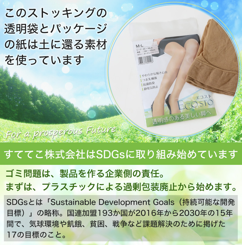 ECOSTO 日本製 ストッキング 伝線しにくい M-L・L-LL (パンスト 破れにくい 丈夫 まとめ買い 大きいサイズ プチプラ レディース) (在庫限り)