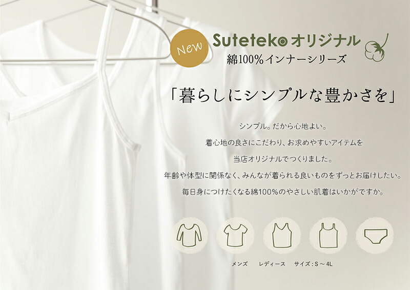 ブリーフ メンズ 綿100% パンツ スタンダード 前開き 3枚セット S M L LL 下着 インナー ブリーフパンツ 肌着 紳士肌着 男性 紳士 パンツ 3枚組 まとめ売り