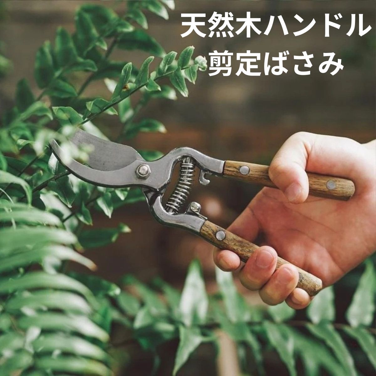 剪定ばさみ 鋏 バサミ はさみ 枝切り おしゃれ ガーデニング 園芸 家庭