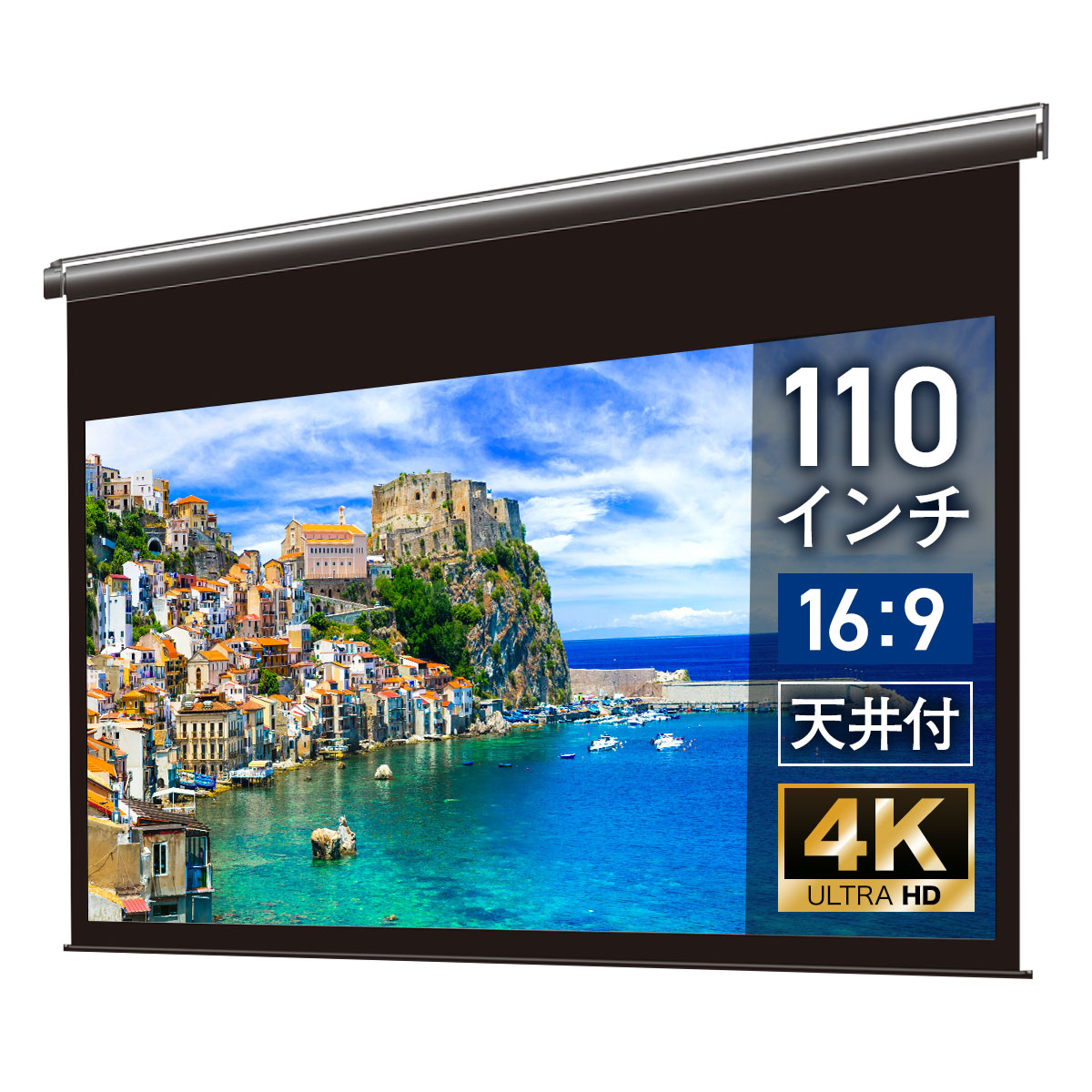 シアターハウス プロジェクタースクリーン 電動スクリーン ケースなし