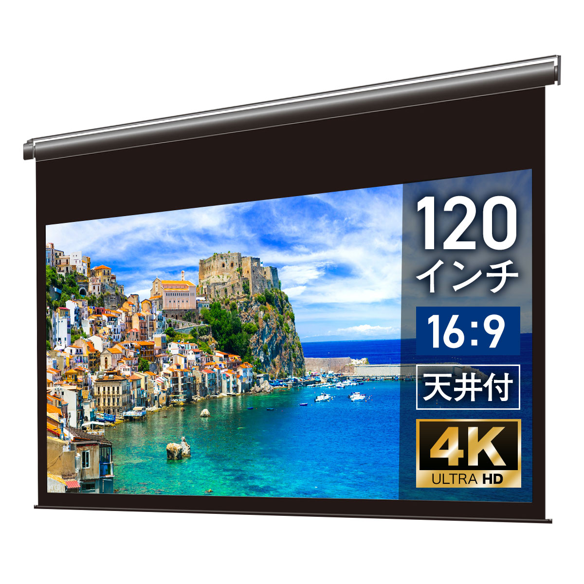 シアターハウス プロジェクタースクリーン 電動スクリーン ケースなし