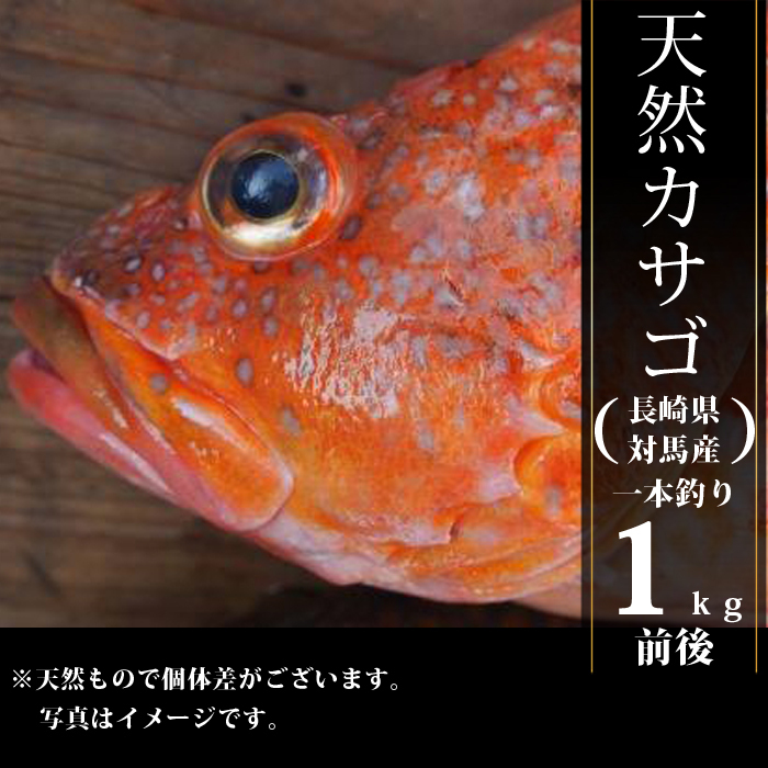 天然 カサゴ あらかぶ 1kg 前後 長崎県 対馬 産 漁師厳選 漁師直送 生鮮 魚 送料無料 ギフト 贈答品 お歳暮 Kaikomaru07 佐賀県eスポーツ協会 通販 Yahoo ショッピング