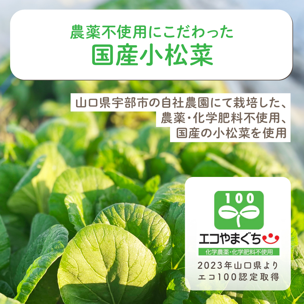 農薬不使用,国産小松菜