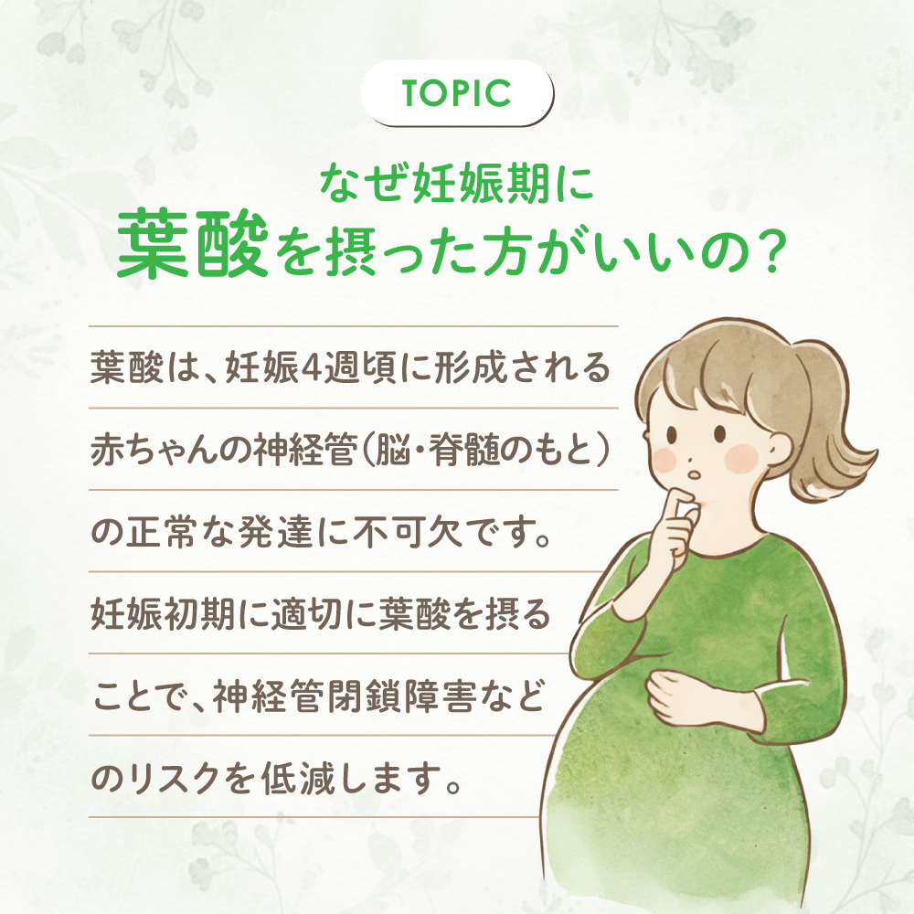 妊娠期に葉酸が必要な理由