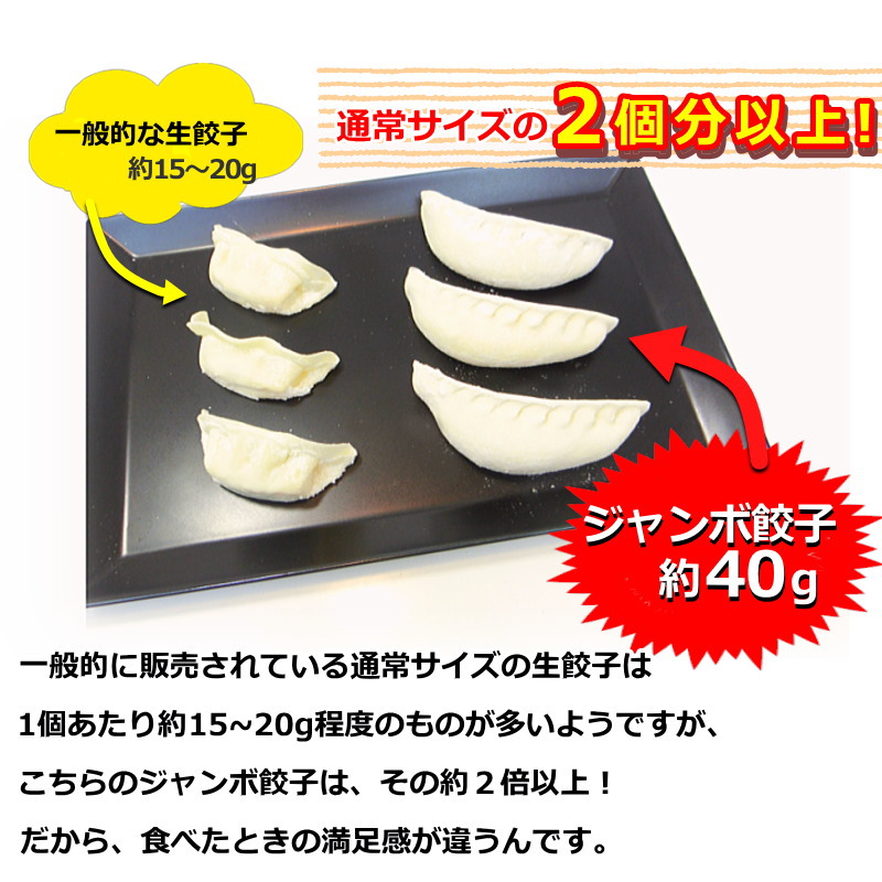 餃子 冷凍 約1.6kg (40g 40個) 特大 ぎょうざ ギョウザ 中華 惣菜