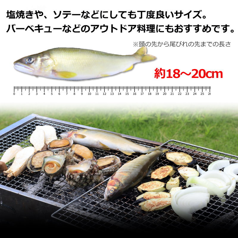 冷凍鮎 １ｋｇ入 （約15-18尾入） あゆ アユ 清流の女王・冷凍鮎・ : 100-1379 : seafoodmax - 通販 -  Yahoo!ショッピング