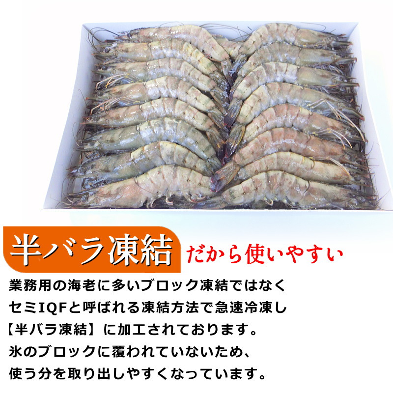 マダガスルージュ プレミアム 生食可能 約1kg 約35-40尾 永遠の海老 ブラックタイガー 冷凍 海老 えび エビ ブラックタイガー 冷凍えび  ・マダガスルージュ・ : 100-1395 : seafoodmax - 通販 - Yahoo!ショッピング