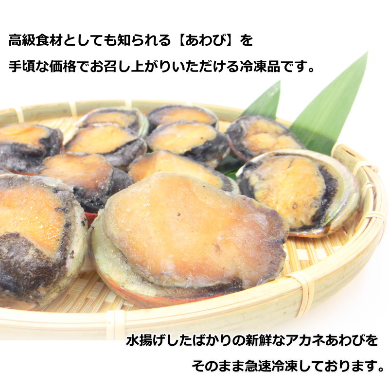 あわび 殻付き 生食用 あかねアワビ 12粒入り チリ産 殻付あわび 鮑