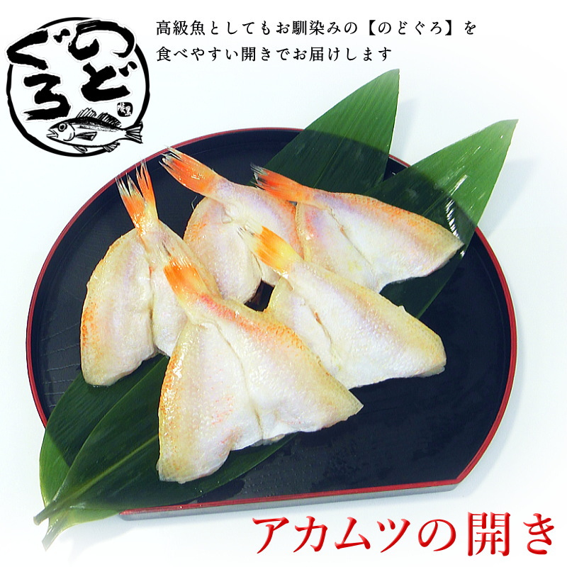 No.251 魚骨 44D 6個 魚骨 44 ディープ – つり具のBunBun.com
