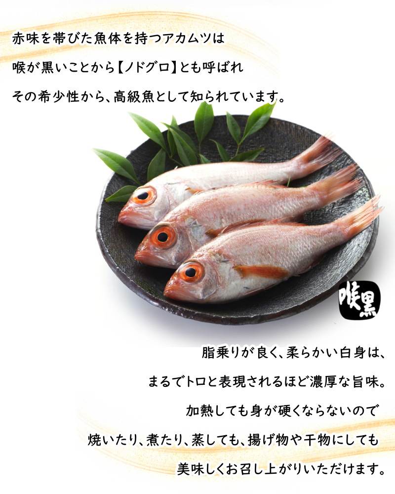 のどぐろ 開き 25尾 骨取り済み 天ぷら フライに 500g あかむつ