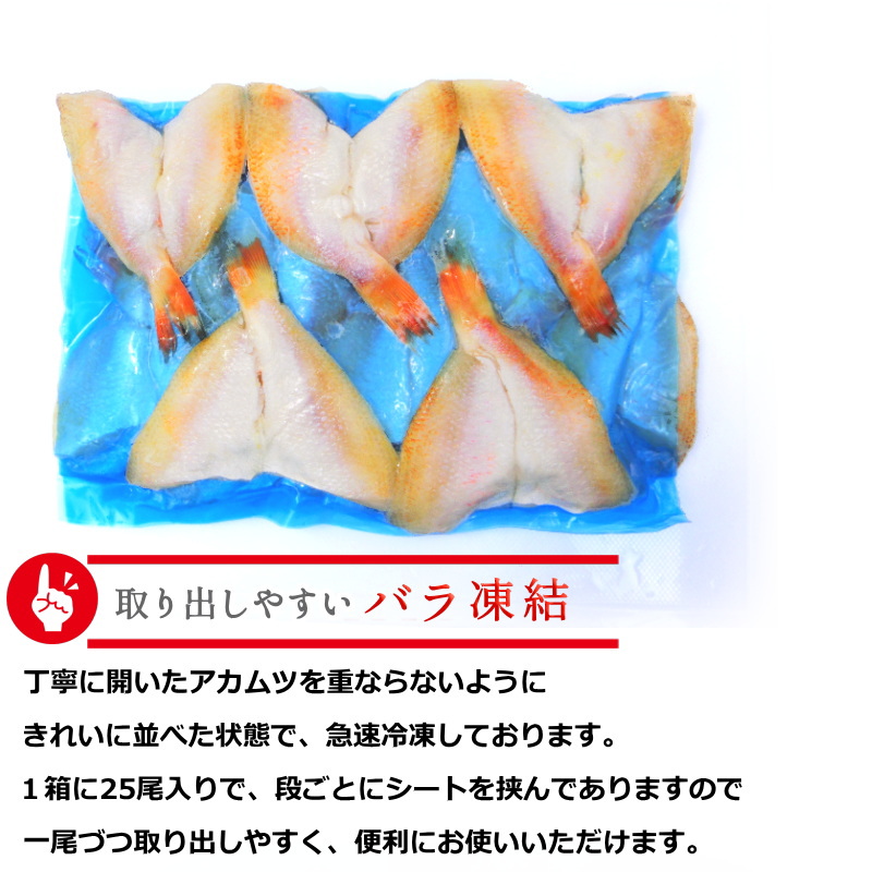 のどぐろ 開き 25尾 骨取り済み 天ぷら フライに 500g あかむつ