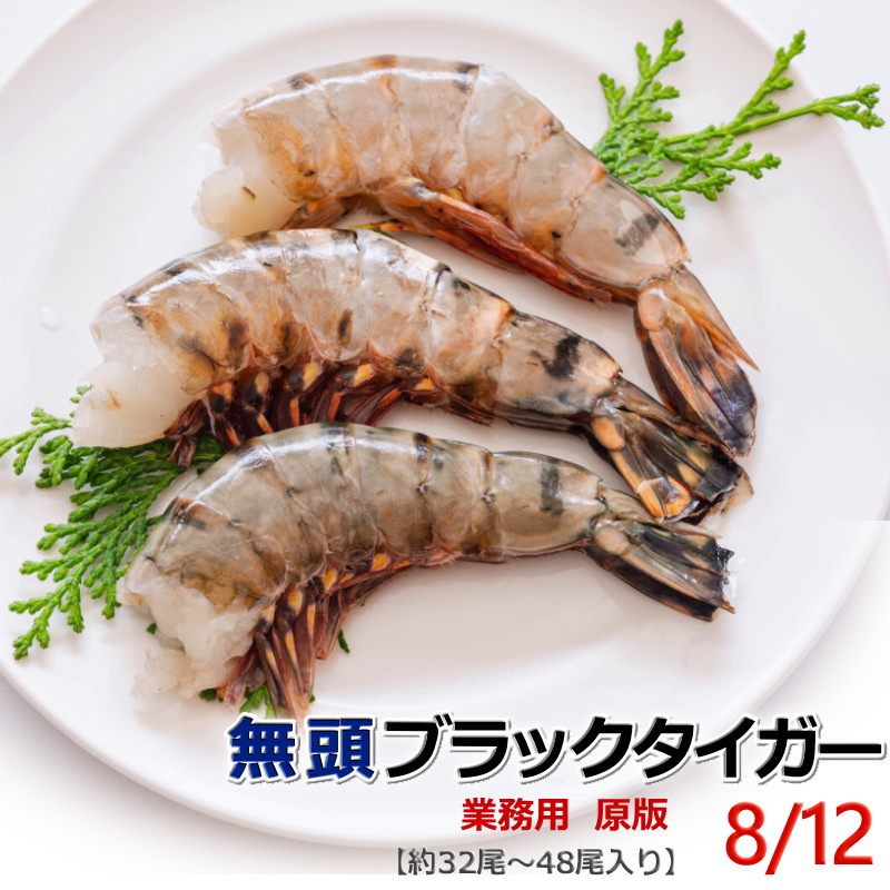楽天市場】超特大 サイズ 約32〜48本入り 8/12 サイズ 活〆