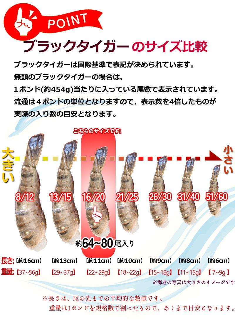エビ 冷凍 無頭海老 16/20 ブラックタイガー 【約64〜80尾入