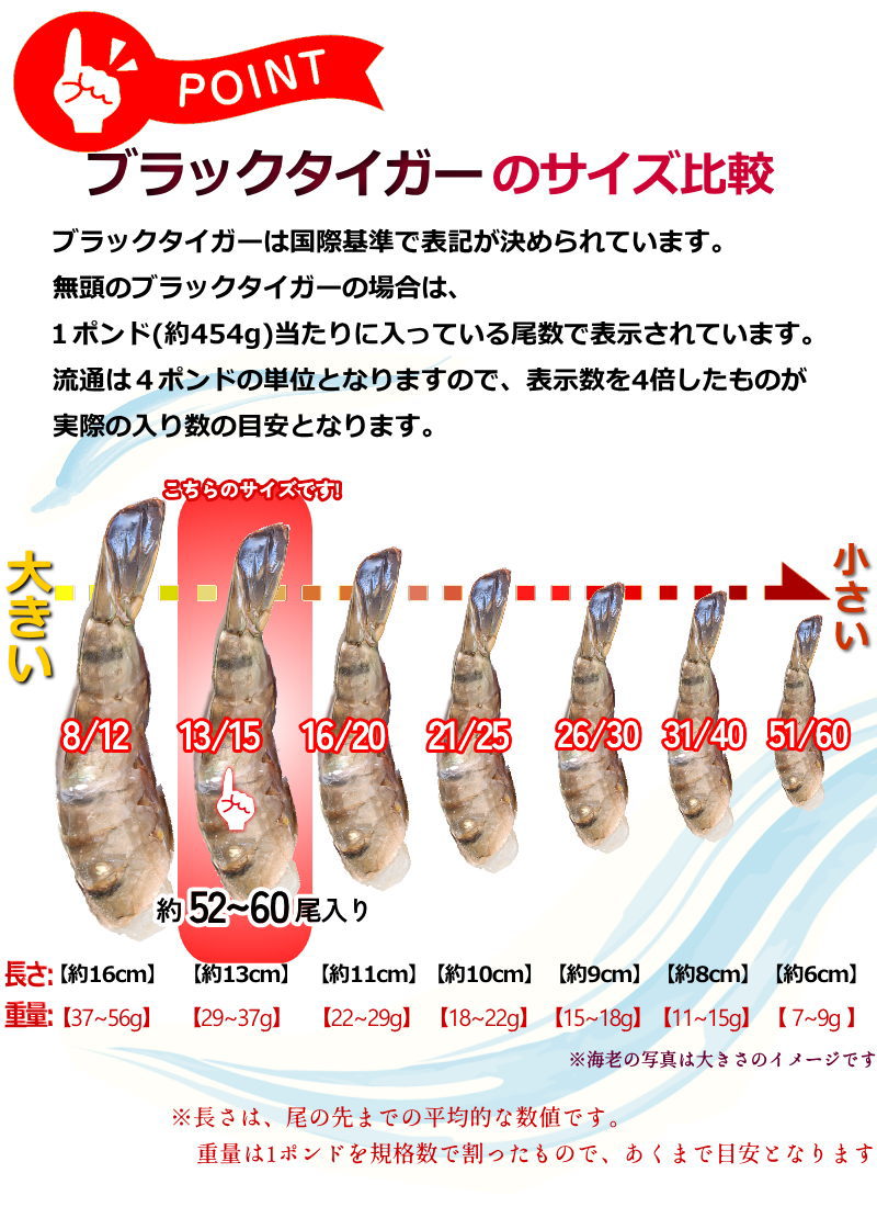 エビ 冷凍 無頭海老 13/15 ブラックタイガー 【約52〜60尾入】1.8kg