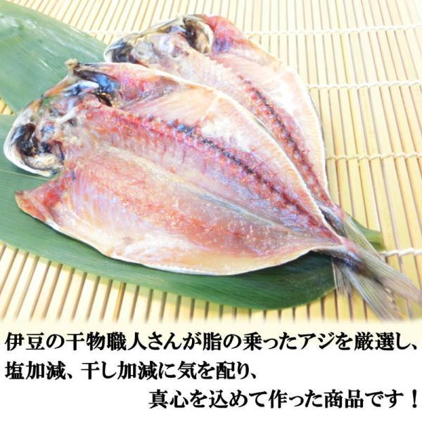 あじの干物 10枚セット アジの干物 送料無料 （計北海道は送料+500円、沖縄県は送料+800円がかかります） 伊豆名産の干物 真鯵 ・あじ干物10枚セット・  : y121b : seafoodmax - 通販 - Yahoo!ショッピング