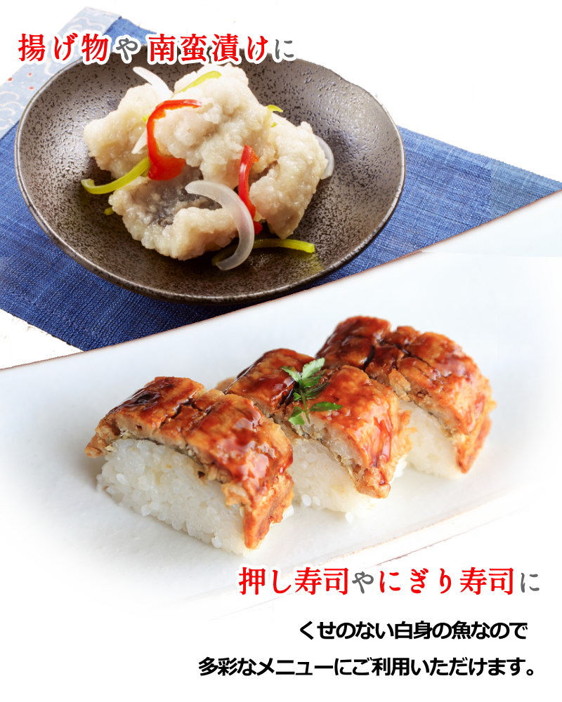 活〆 骨切り ハモ 1kg 骨切り加工済 はも 鱧・骨切りハモ 活〆 骨切り ハモ 1kg 骨切り加工済 はも 鱧・骨切りハモ