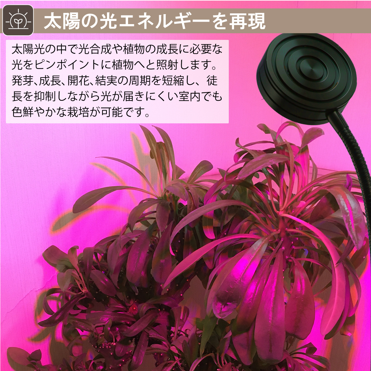 植物育成ライト USB-Type LED 24個 LED 12W ３色点灯 ブルー レッド ピンク 植物 育つ ライト 植物育成 観葉植物 多肉植物 水耕栽培  ledライト 電球 室内栽培 : 013831 : sealovely777 - 通販 - Yahoo!ショッピング