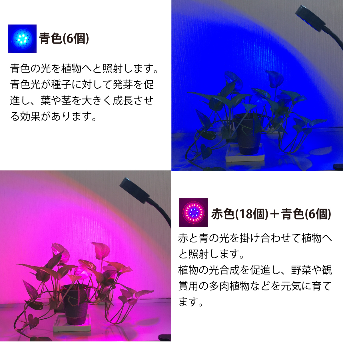 植物育成ライト USB-Type LED 24個 LED 12W ３色点灯 ブルー 