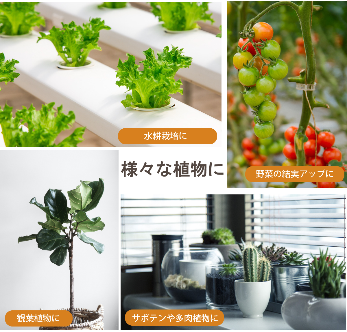 植物育成ライト USB-Type LED 24個 LED 12W ３色点灯 ブルー レッド ピンク 植物 育つ ライト 植物育成 観葉植物 多肉植物  水耕栽培 ledライト 電球 室内栽培 : 013831 : sealovely777 - 通販 - Yahoo!ショッピング