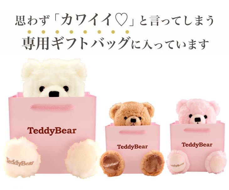 思わずかわいいと言ってしまう専用ギフトバッグに入っています。