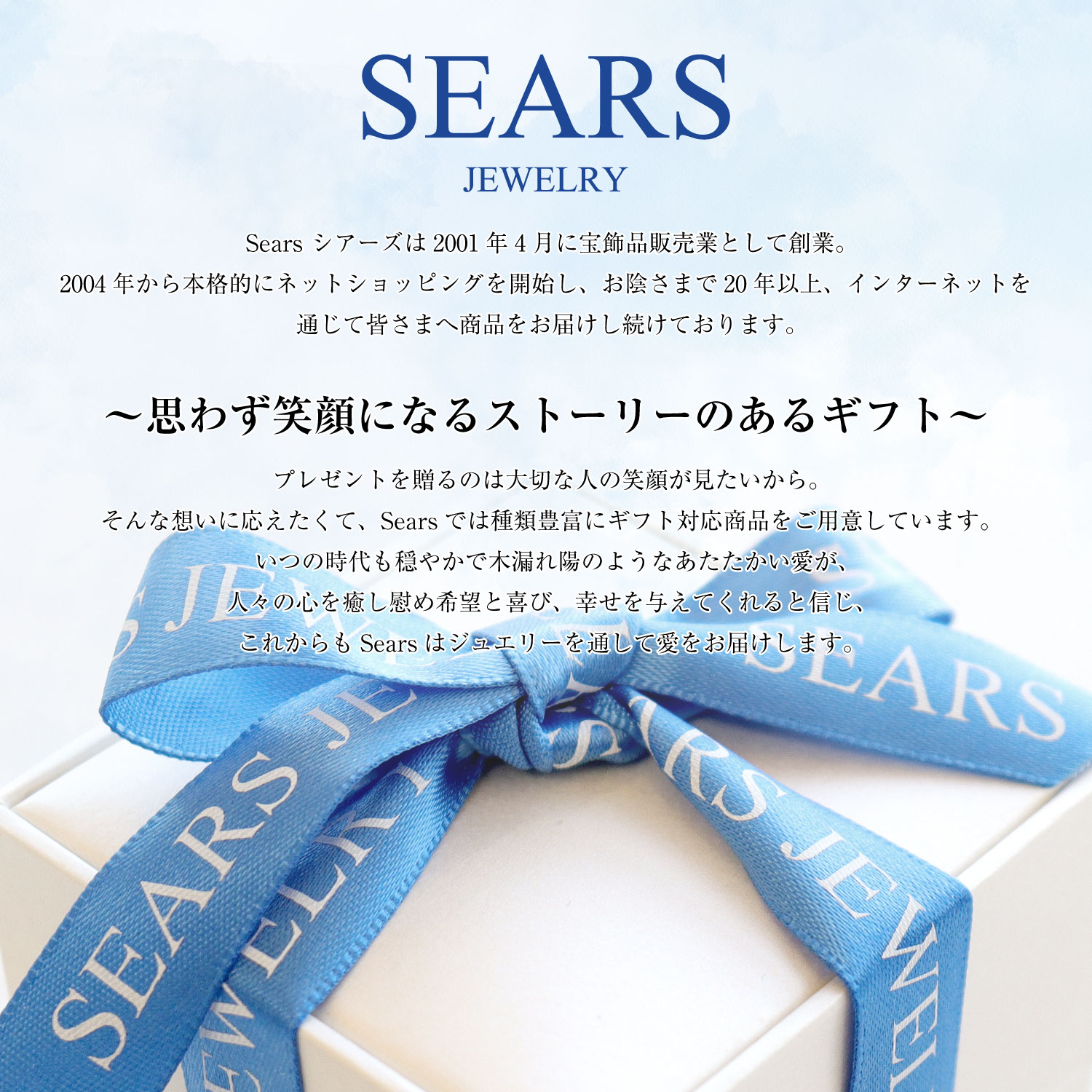 シアーズ シルバーチェーン ロープ 幅 1.0mm 長さ 40 45 50 55 60cm メンズ レディース r18 誕生日 プレゼント 関連画像2