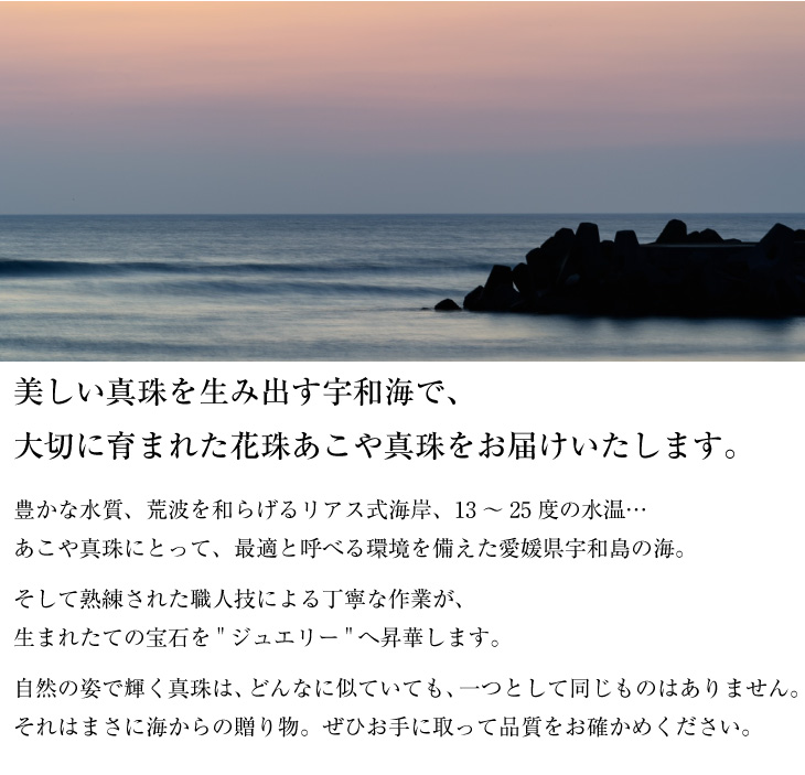 訳あり ララクリスティー 花珠 【花珠】あこや本真珠ネックレス あこや