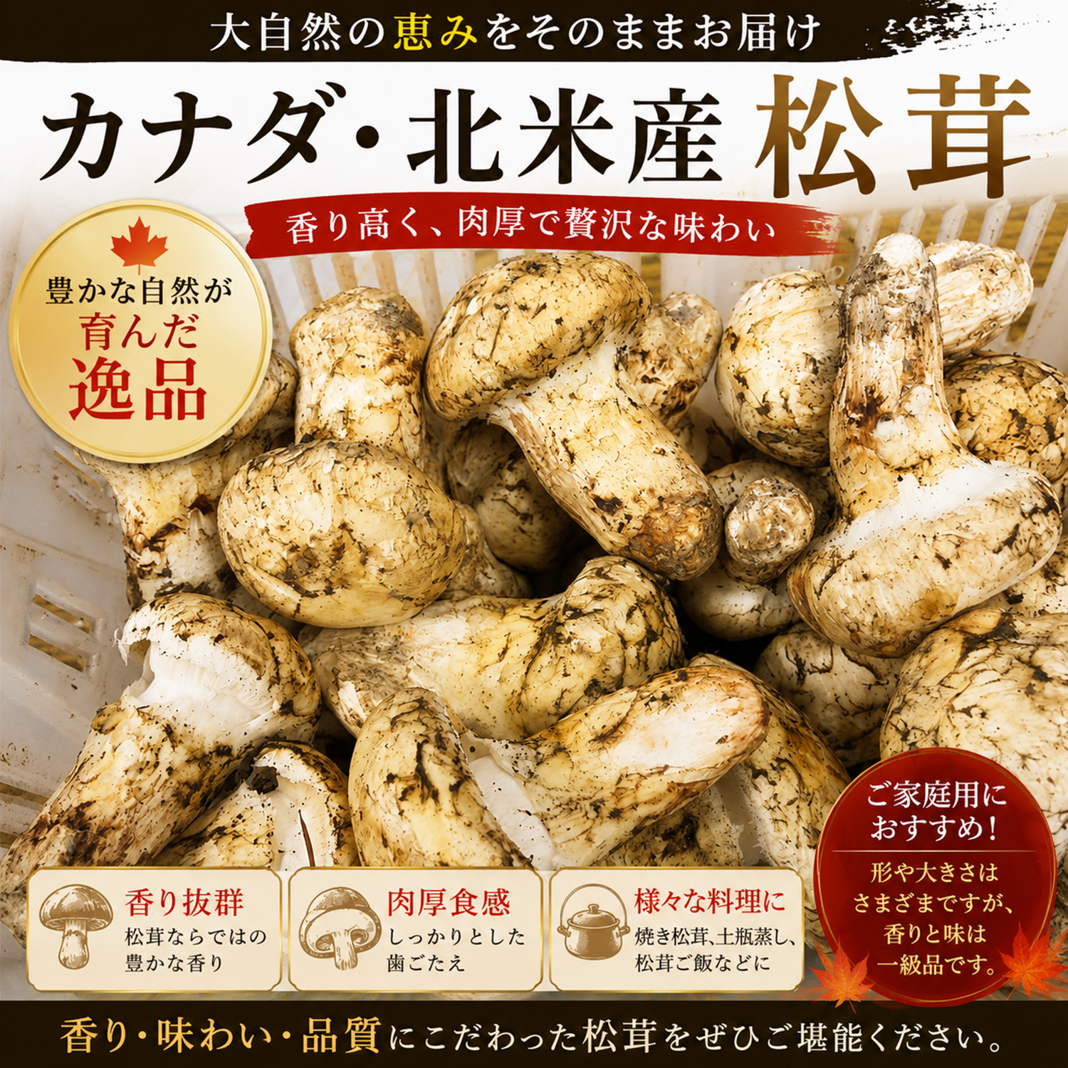 生松茸 約1kg 北米・カナダ産 つぼみ/訳あ...の詳細画像1
