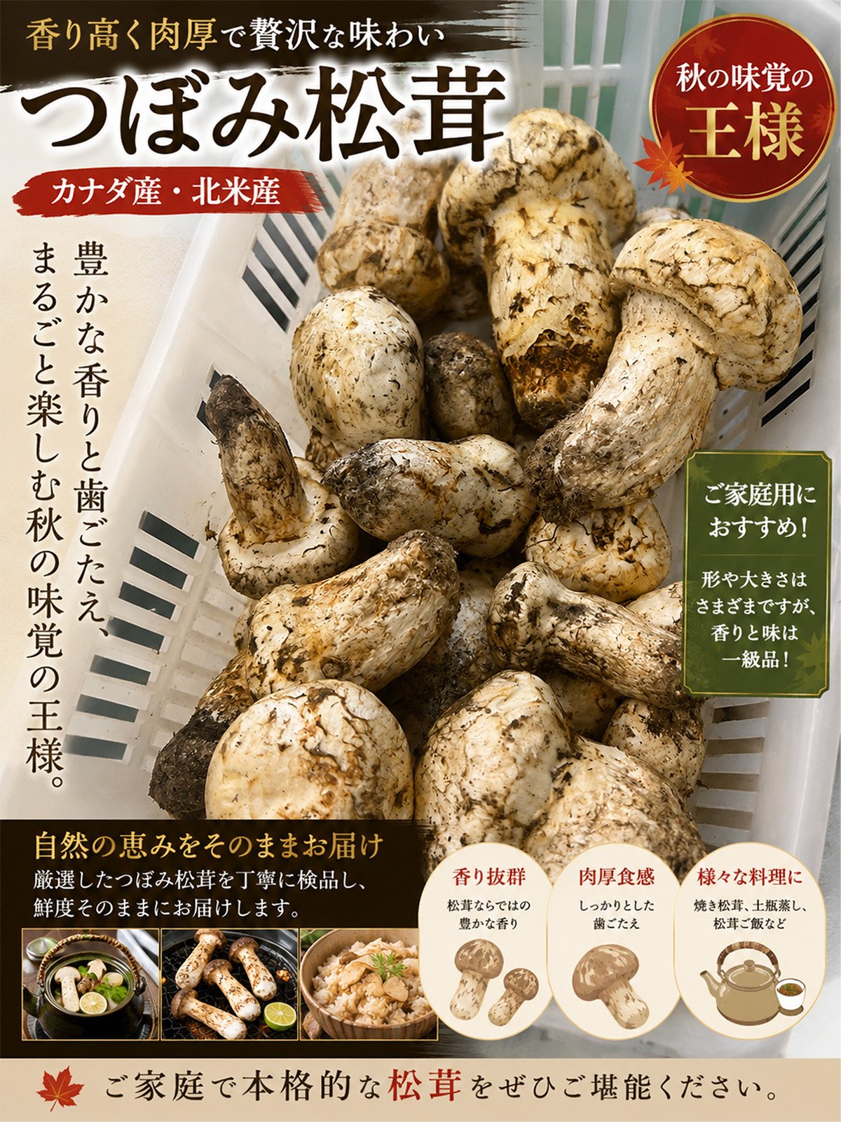 生松茸 約1kg 北米・カナダ産 つぼみ/訳あ...の詳細画像3