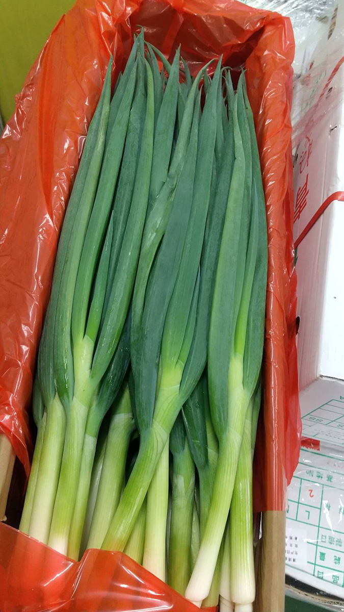 青ねぎ 業務用 約10kg（5kg×2箱）S/Mサイズ｜中国産 青ネギ｜長さが