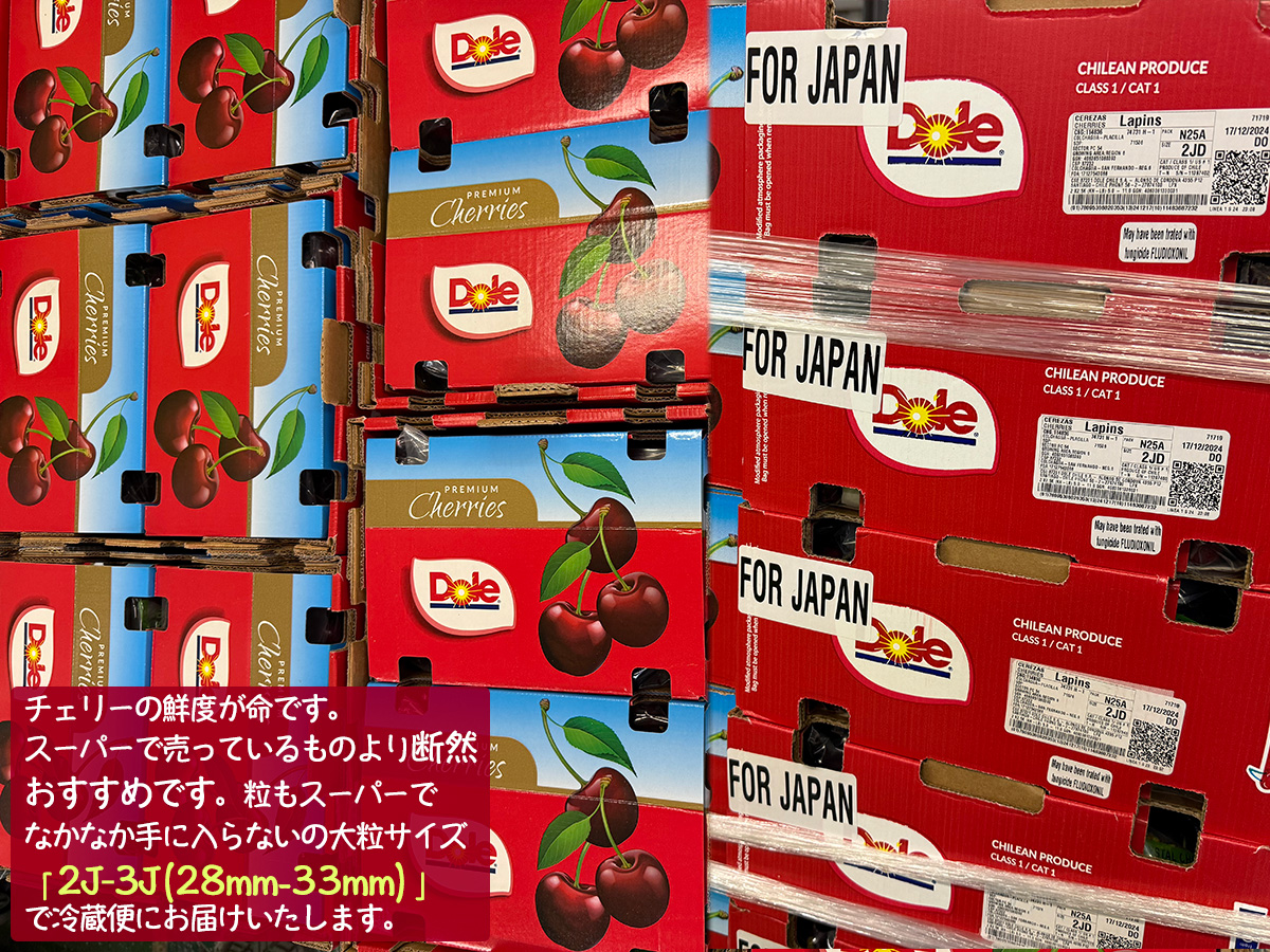 ダークチェリー 約1kg 箱 超大粒｜チリ・NZ産 空輸 プレミアムチェリー