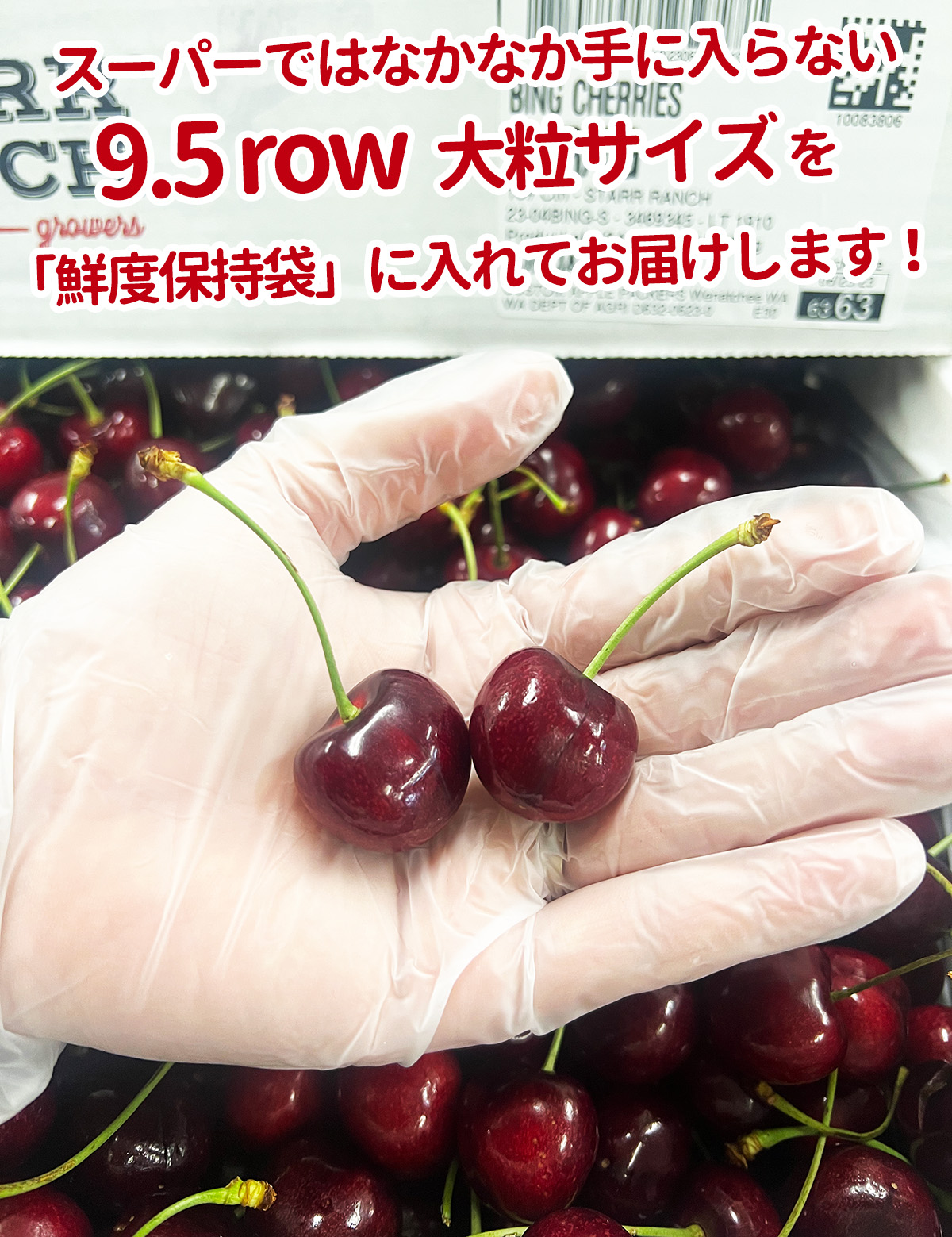 ダークチェリーアメリカンチェリーニュージーランド産さくらんぼチェリー箱込み2kg ダークチェリー 約2kg 箱 超大粒｜チリ・NZ産 空輸 プレミアムチェリー
