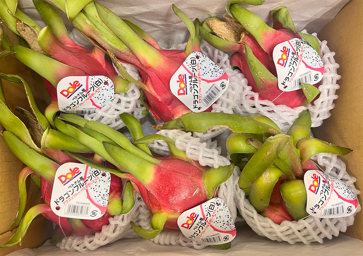 ドラゴンフルーツ 10個約5kg ドラゴンフルーツ（ホワイト）13個入（約5kg）産地箱｜ベトナム産 白肉