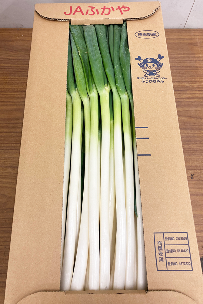値下げ中！明日発送！愛媛県産極細細め白ネギ　長ねぎ　ねぎ　野菜 国産長ねぎ 約10kg（5kg×2箱）産地箱 M〜2L｜埼玉 茨城 千葉 群馬県産